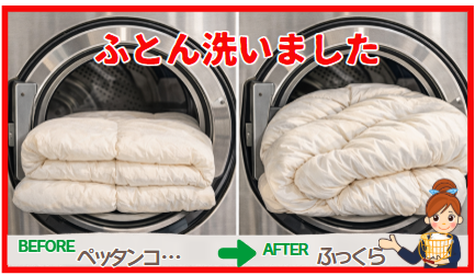 ふとん洗い ビフォーアフター ペッタンコ→ふっくら